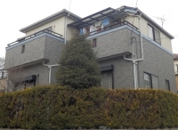hasegawa saitama before