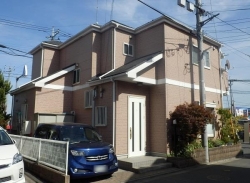 shigemura niiza before 0501